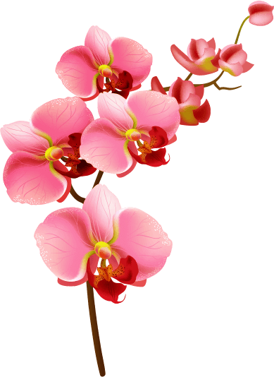 flower-slider.png