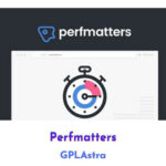 افزونه Perfmatters | افزایش سرعت سایت وردپرسی بدون پیچیدگی
