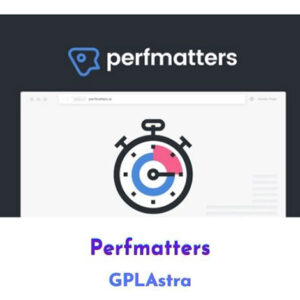 افزونه Perfmatters | افزایش سرعت سایت وردپرسی بدون پیچیدگی