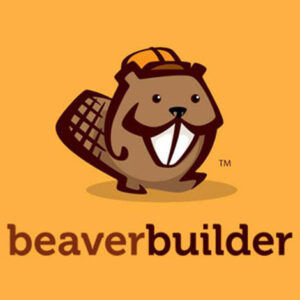 افزونه صفحه‌ساز بیور بیلدر | Beaver Page Builder